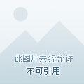我才是真正不死动漫